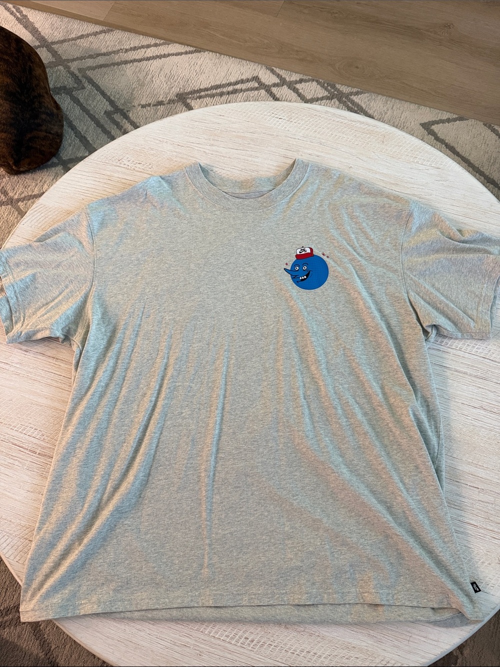 Nike SB Light Gray Graphic Crewneck T-Shirt with Blue Logo